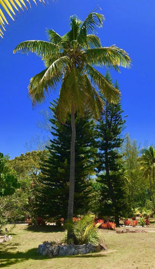 North Palmetto Point Poponi Cottage Cottage المظهر الخارجي الصورة